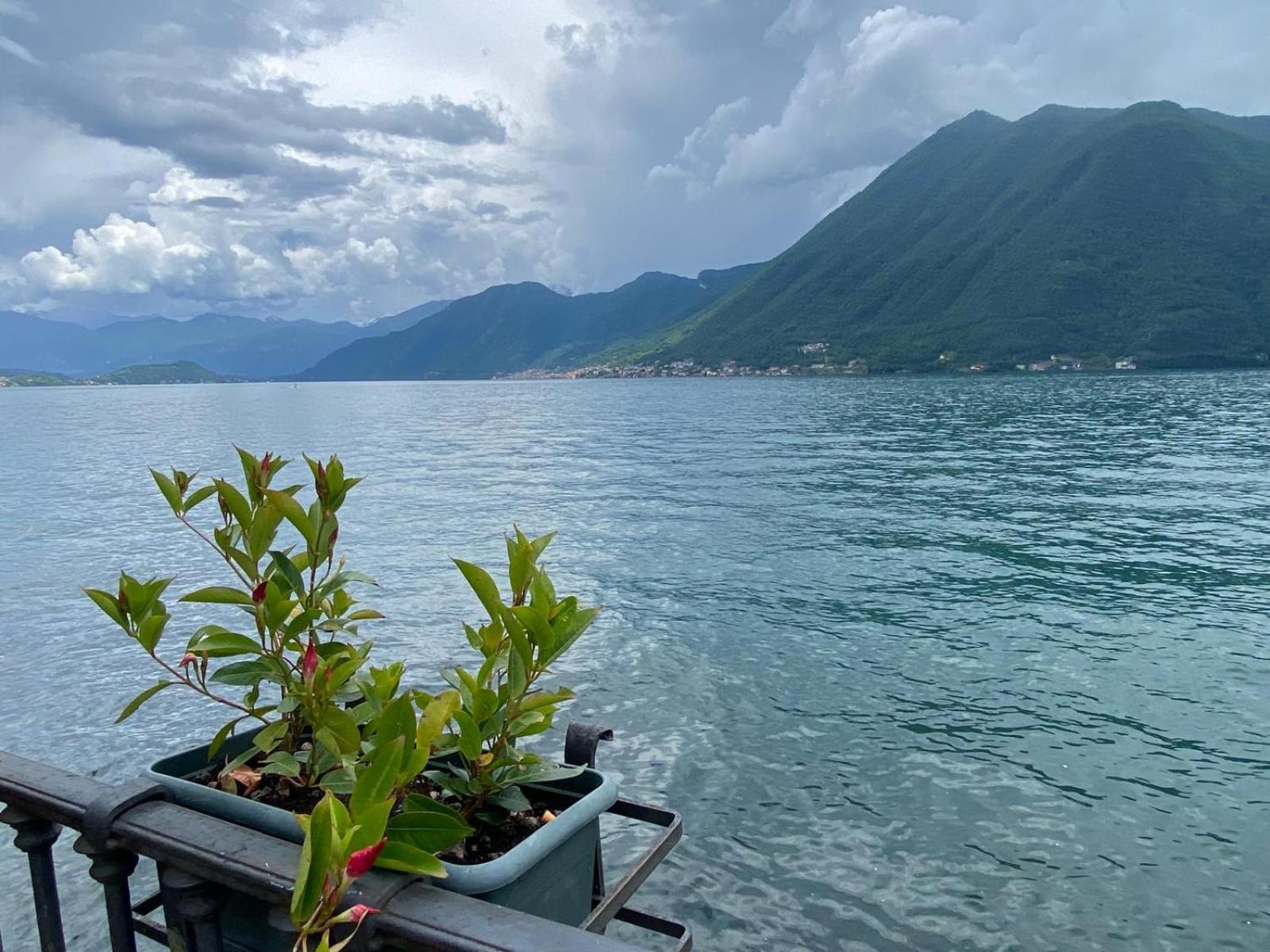 Argegno'S River - Central Apartment Lake View Rom bilde